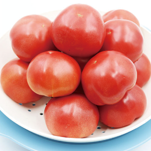 소중한 내 건강을 위한, 토마토1kg