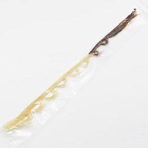 제수용 꽃백자 문어꽃 문어다리(50cm)