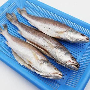반건조 말린고기 민어조기 (30cm, 3마리)