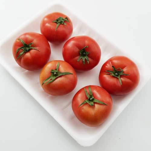 단짠단짠 꿀맛~ 대저 짭짤이 토마토 (소포장 알뜰과일 중과 6개)
